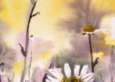 Cynthia Hallstrom, Daisies